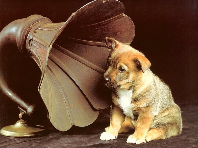 Puppy with Gramophone — Brown