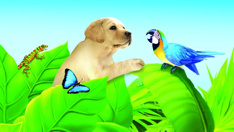 Puppy with Parrot