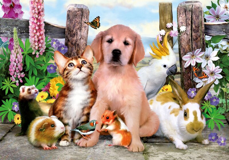 Puppy with Pets in Garden