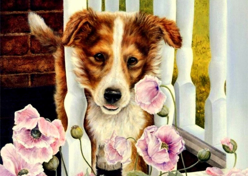 puppy with pink flowers
