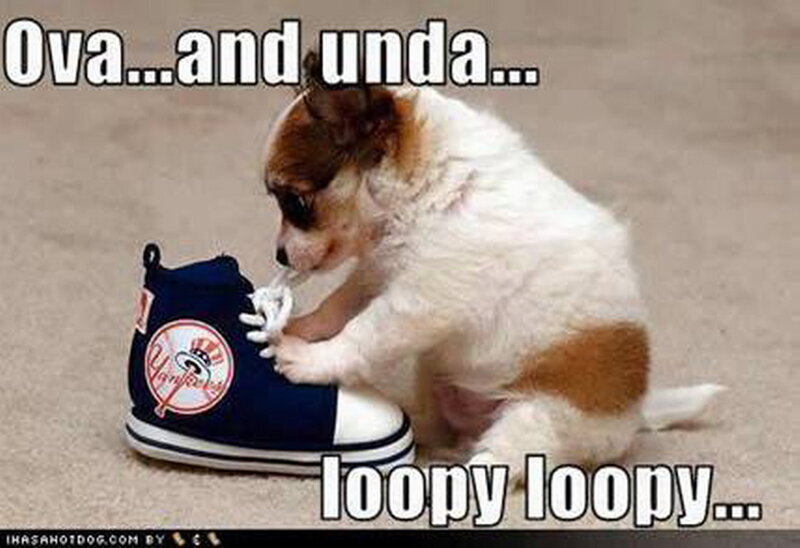 Puppy with Shoe