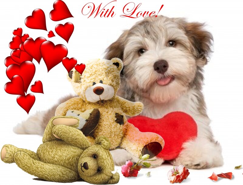 Puppy with Teddy Bears