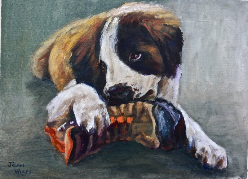 puppy with toy