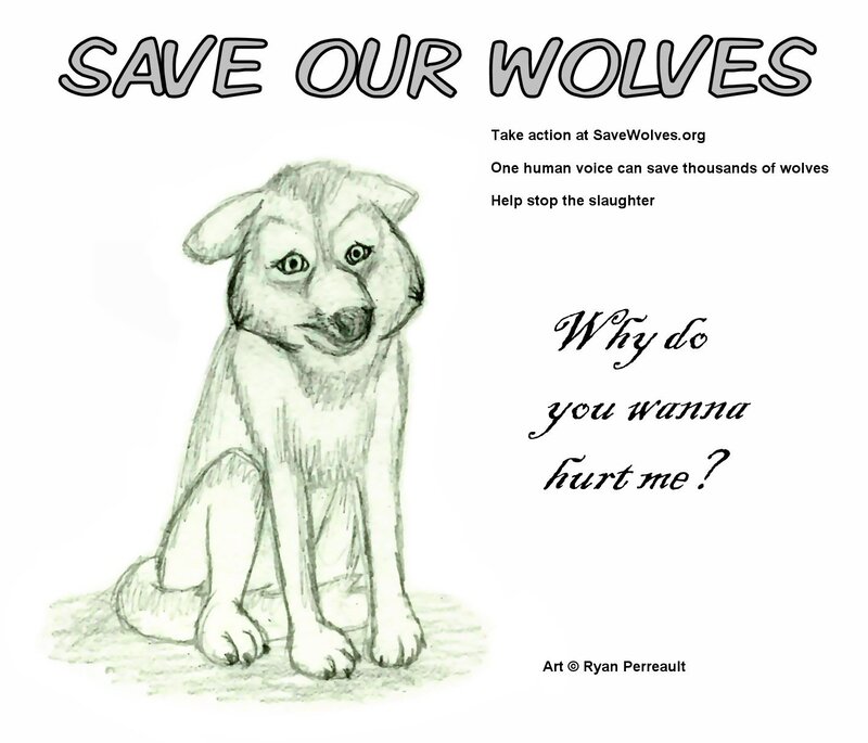 Puppy Wolf Drawing