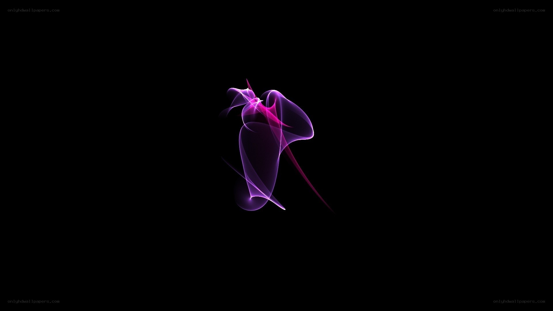 purple abstract light design