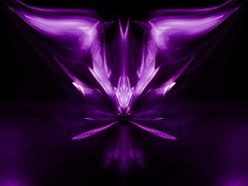 Purple abstract wing design