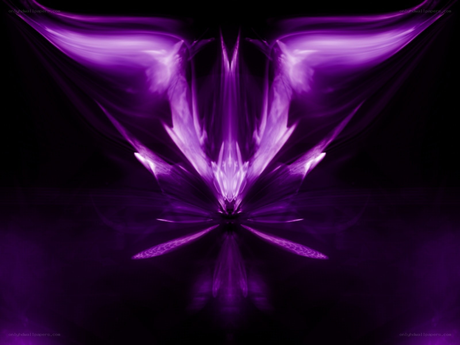 Purple abstract wing design