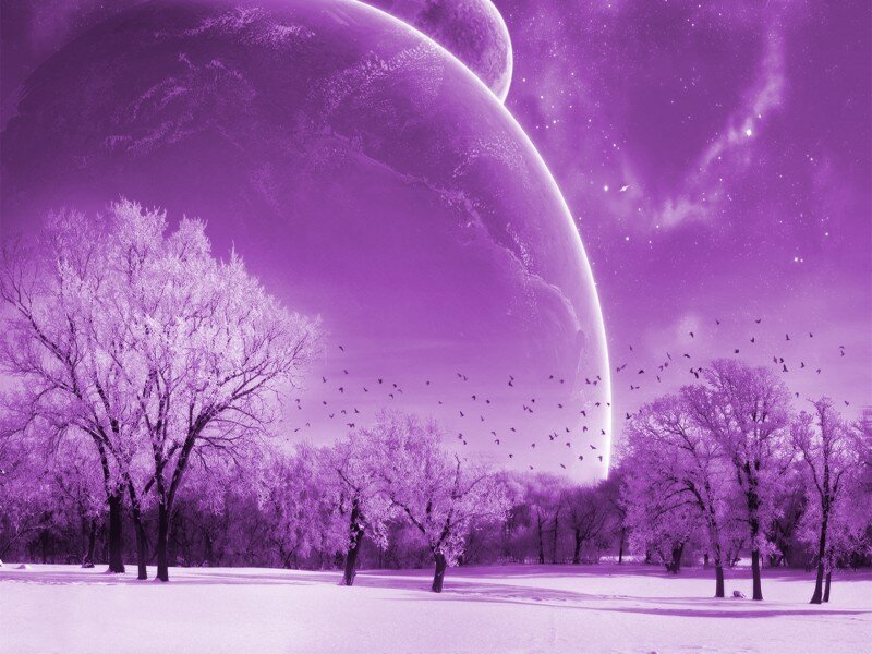 Purple alien landscape