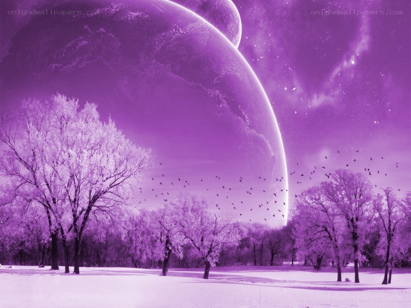 Purple alien landscape