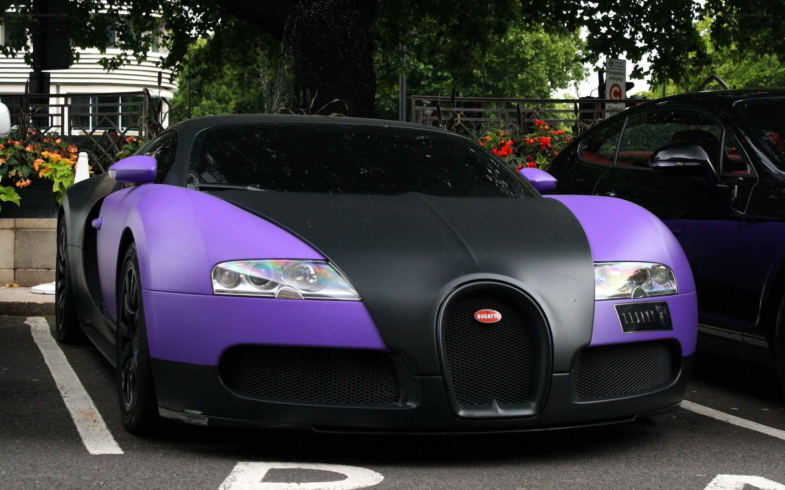 Purple and black Bugatti Veyron