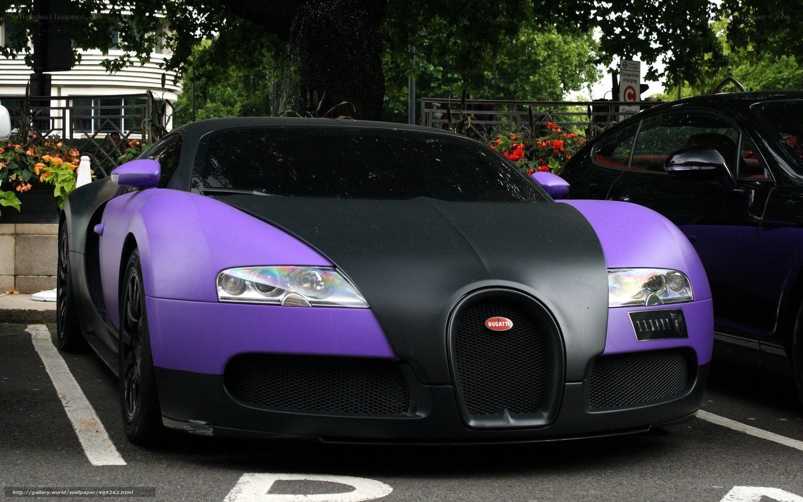 Purple and black Bugatti Veyron