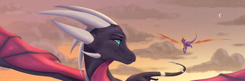 Purple and Black Dragons