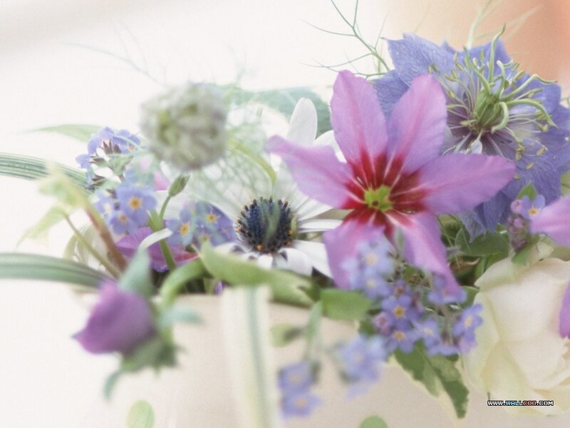 Purple and Blue Flower Bouquet — Serene