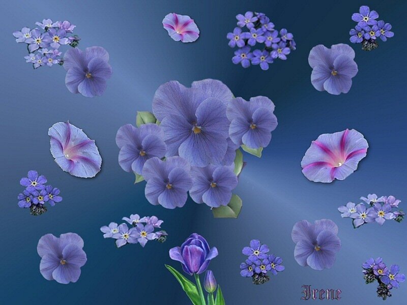 Purple and Blue Flowers — Serene, Digital Art