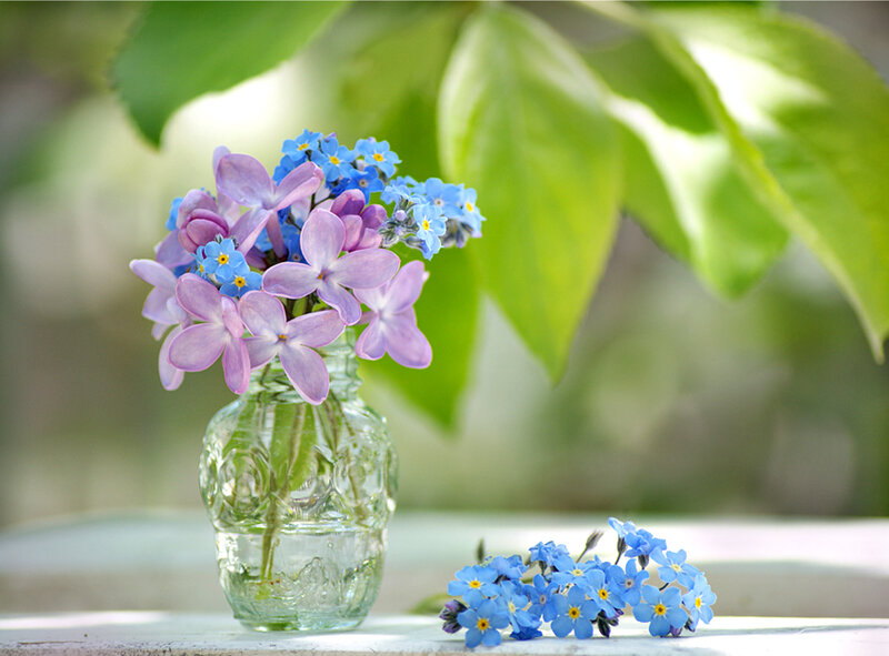 Purple and Blue Flowers — Serene, Spring, Photograph, Glass Jar