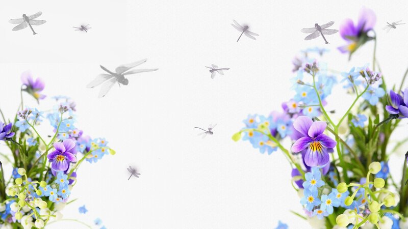 Purple and Blue Flowers — Serene, Spring