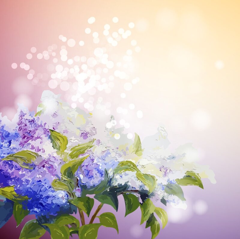 Purple and Blue Flowers — Serene, Sunset