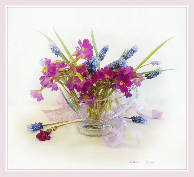 Purple and Blue Flowers — Serene