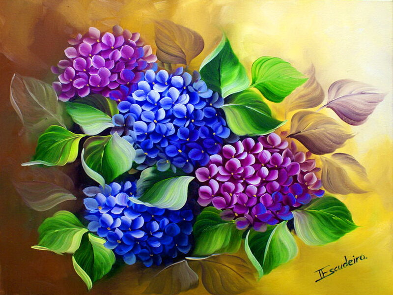 Purple and Blue Hydrangeas
