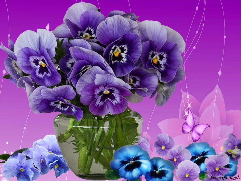 Purple and Blue Pansies — Calm
