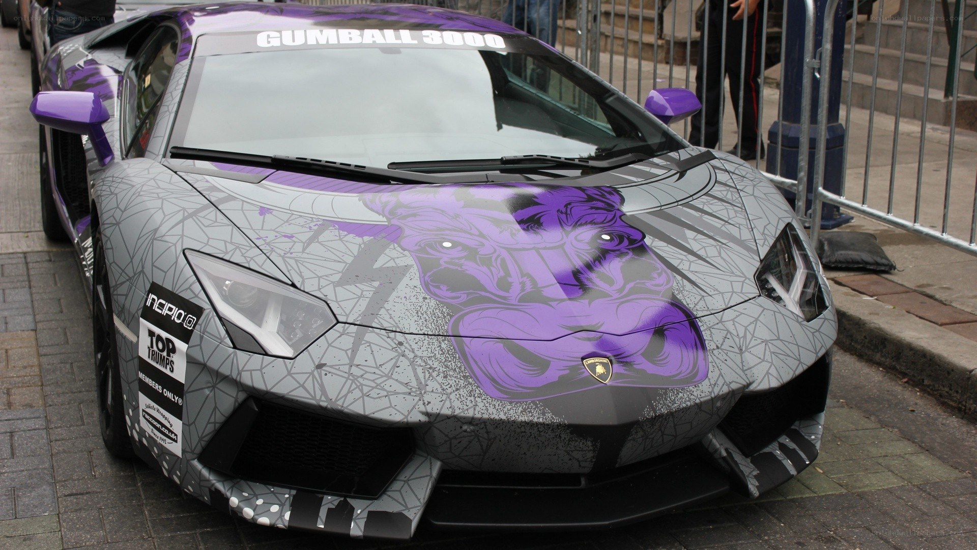 Purple and gray Lamborghini with custom graphics