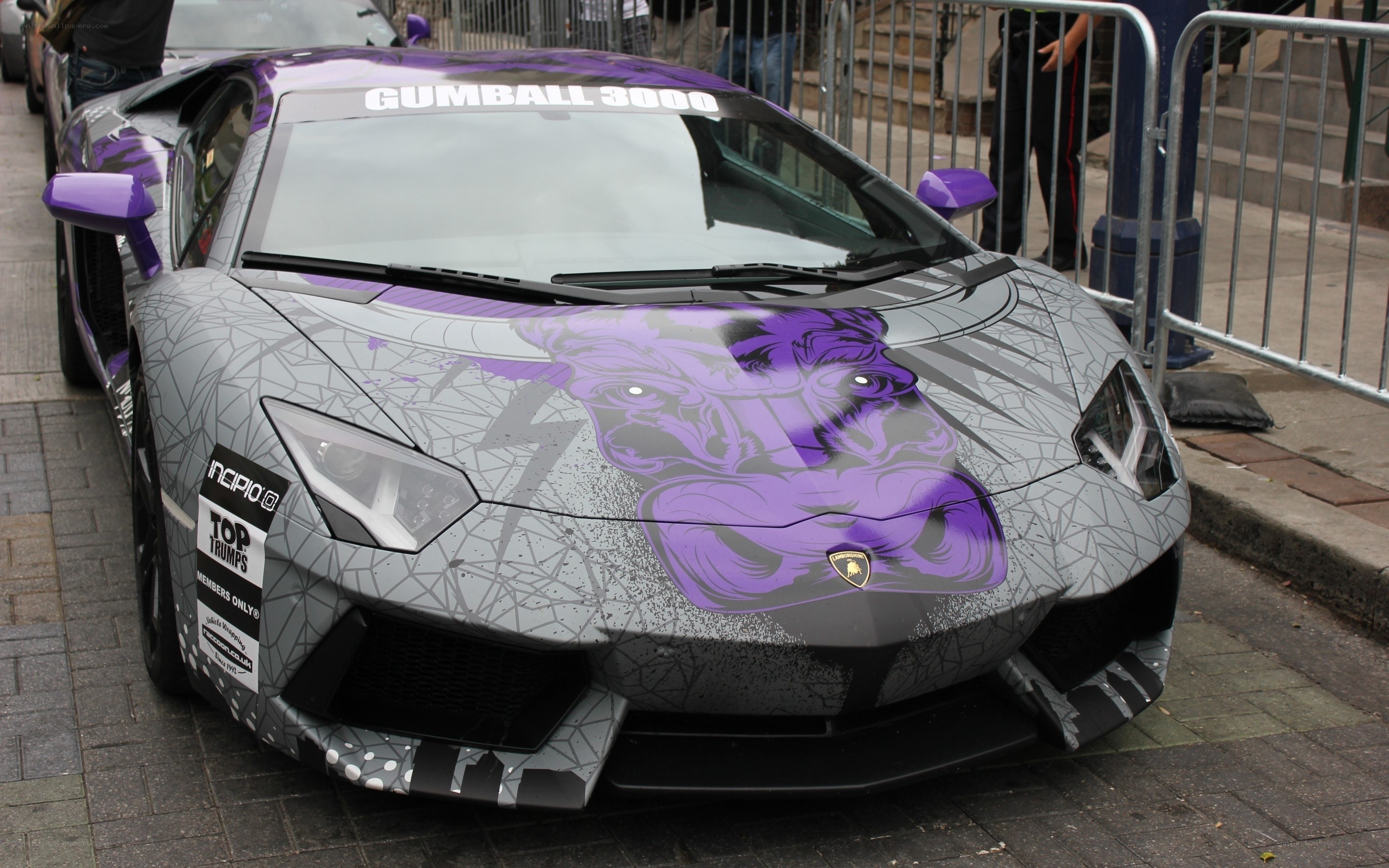 Purple and gray Lamborghini with custom graphics