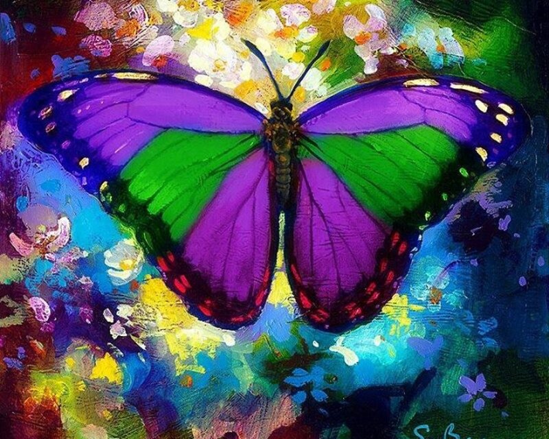 Purple and Green Butterfly