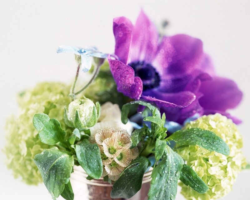 Purple and green flower arrangement