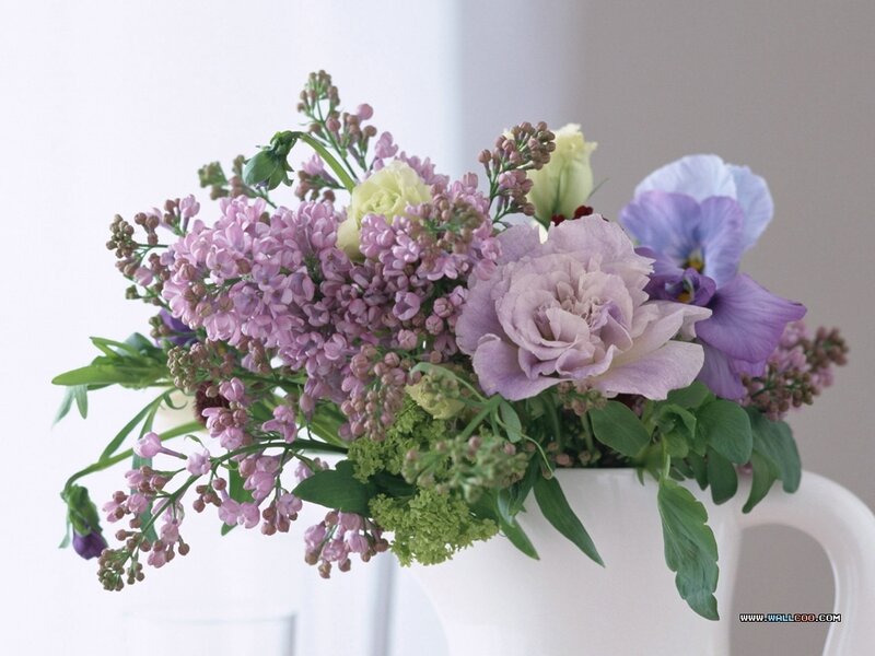 Purple and Green Flower Bouquet — Calm