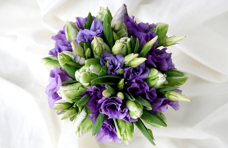 Purple and Green Flowers — Calm