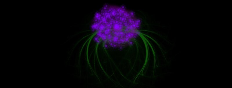 purple and green glowing particles