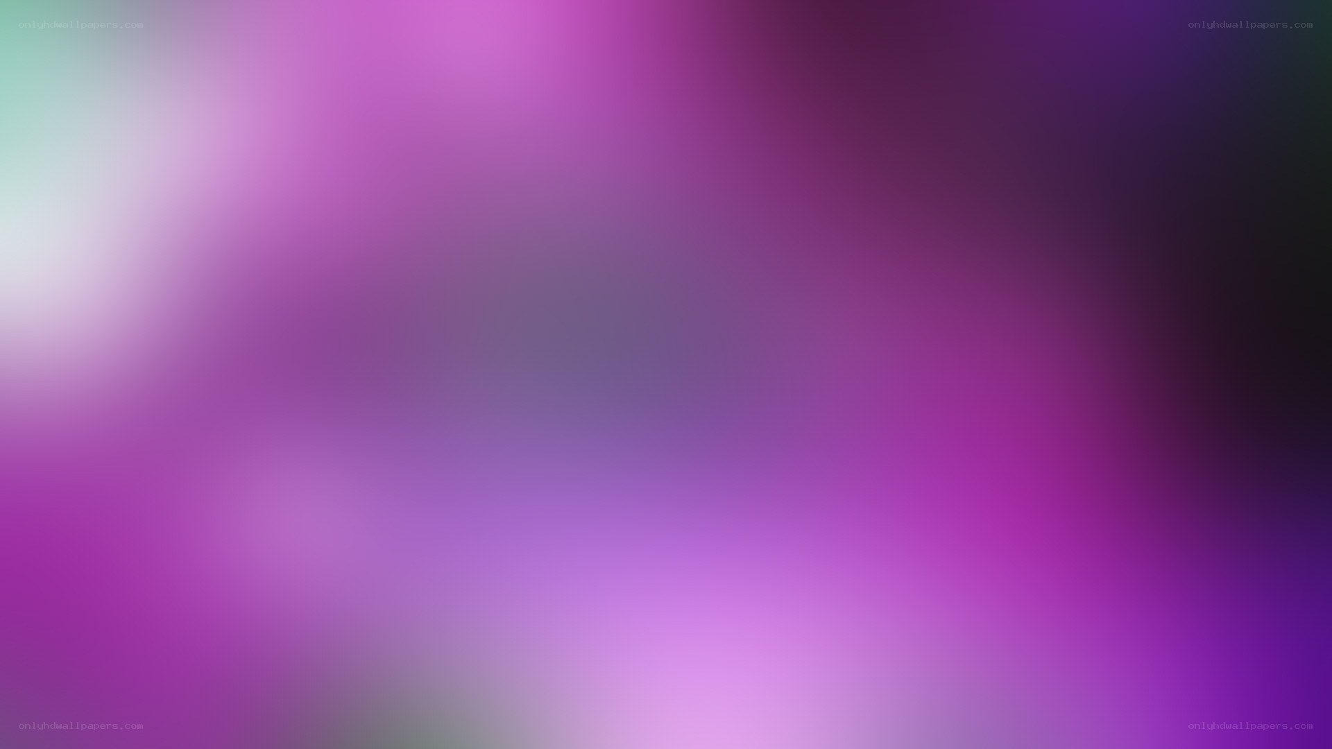 purple and green gradient