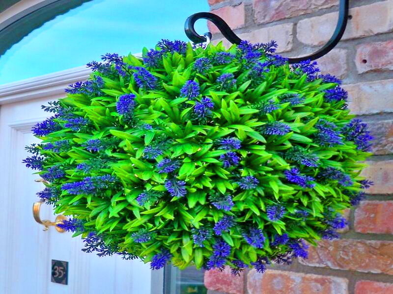 Purple and Green Hanging Basket