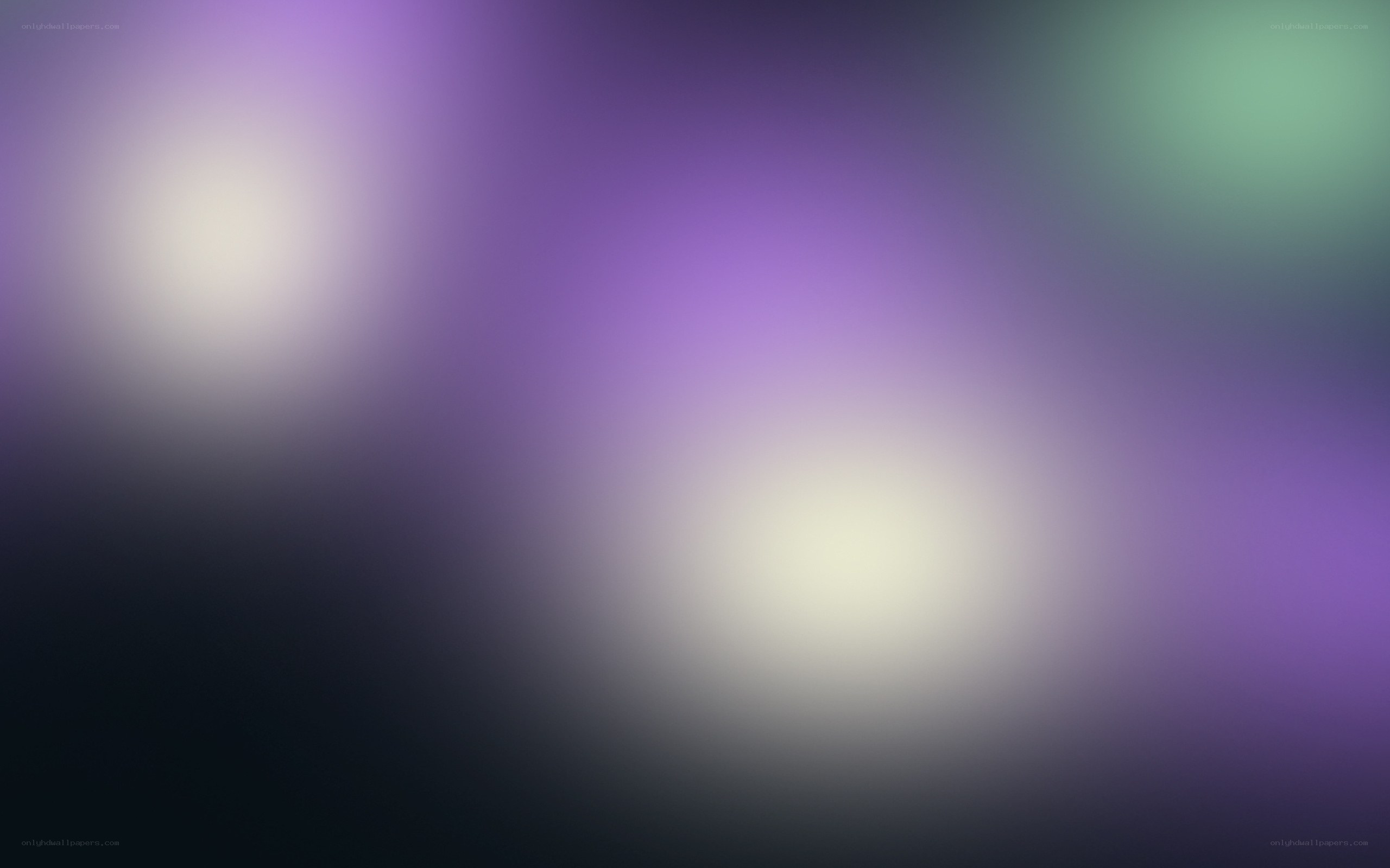 purple and green light bokeh
