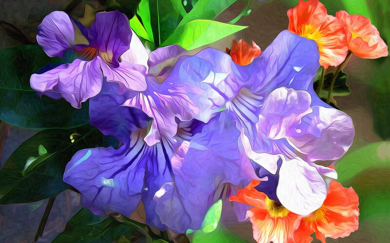 Purple and Orange Flowers — Vibrant, Digital Art