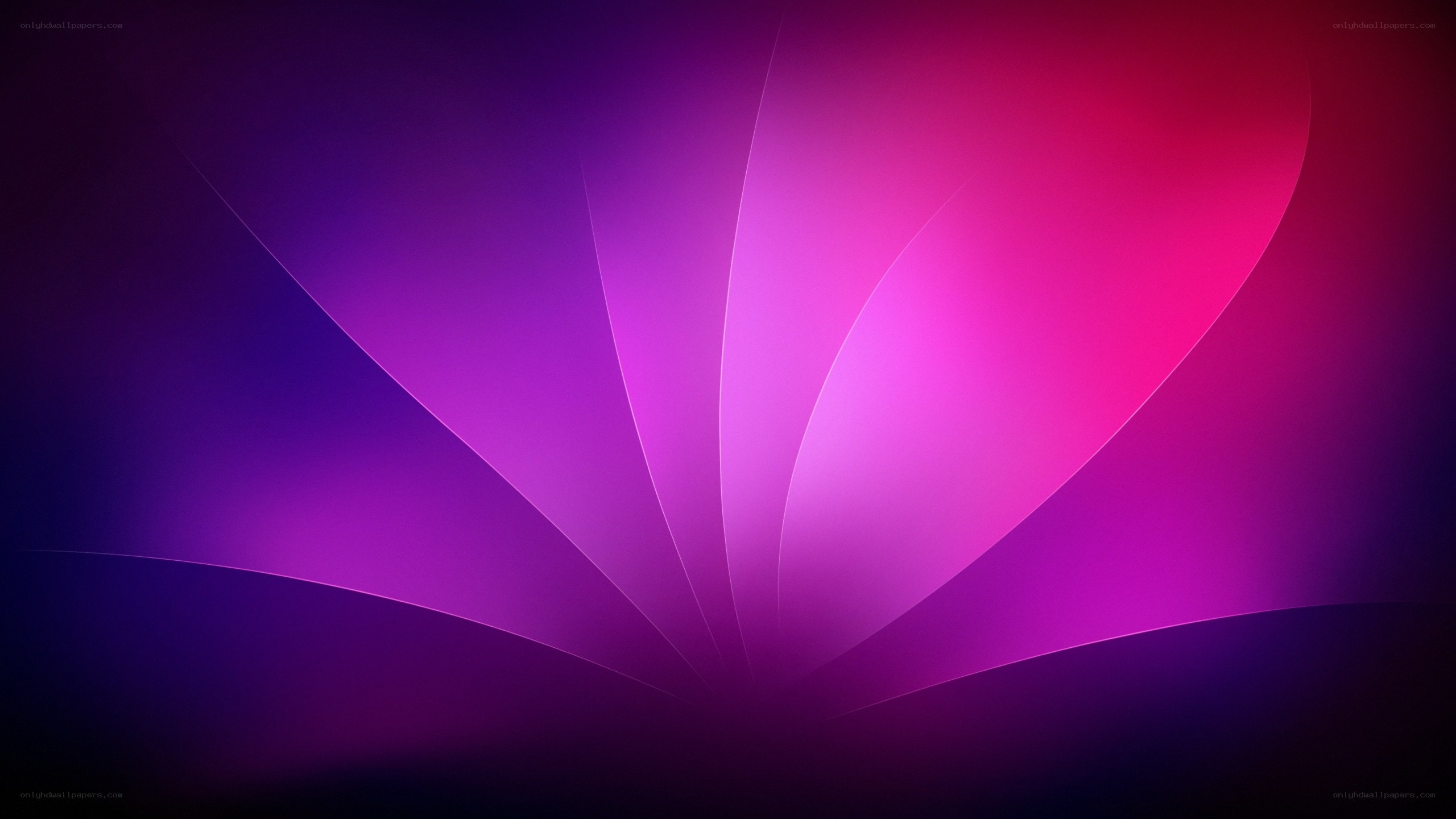 purple and pink abstract design