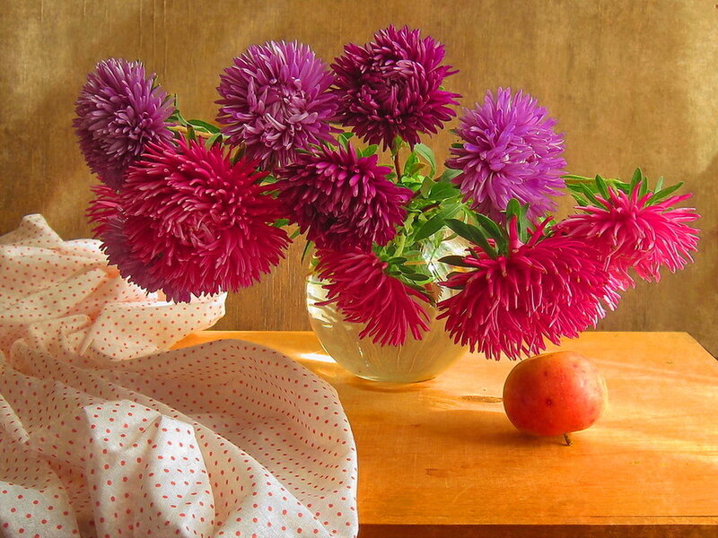 Purple and Pink Asters