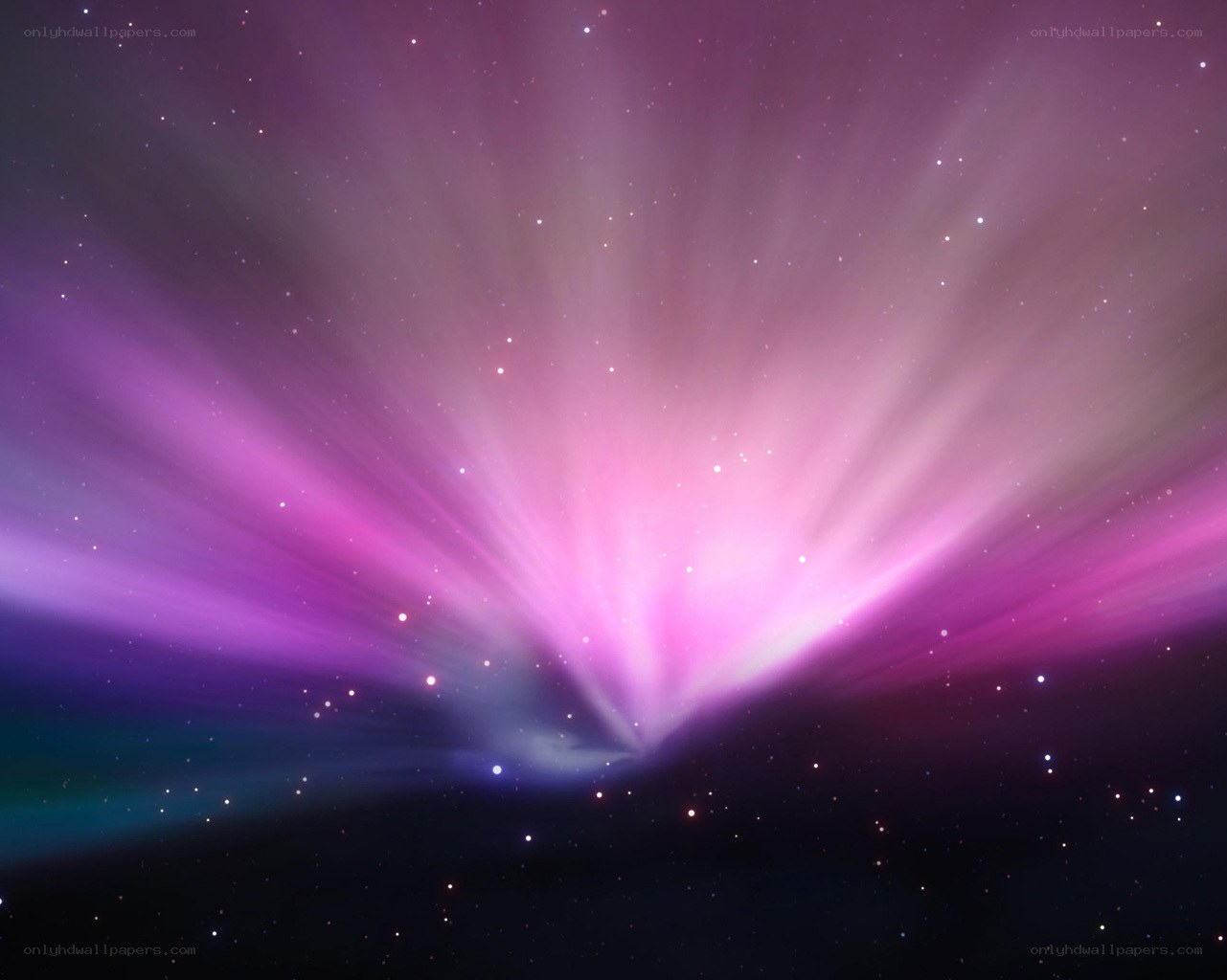 purple and pink aurora display