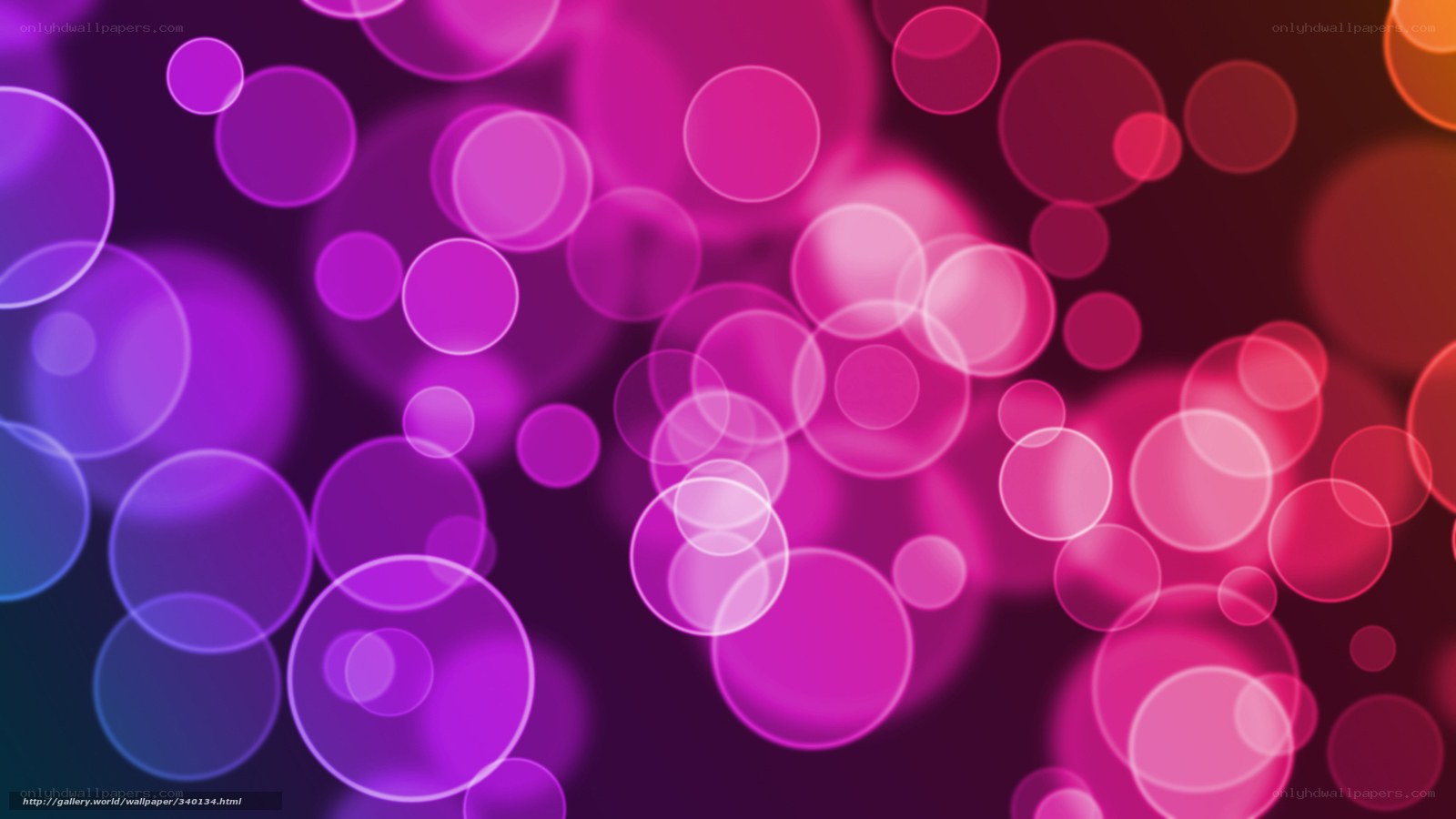 purple and pink bokeh circles