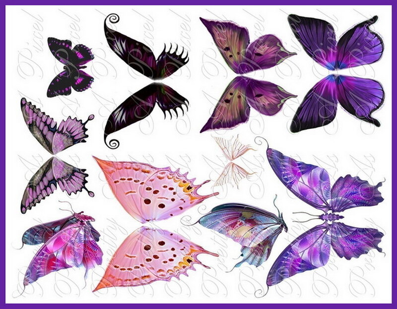 Purple and Pink Butterflies
