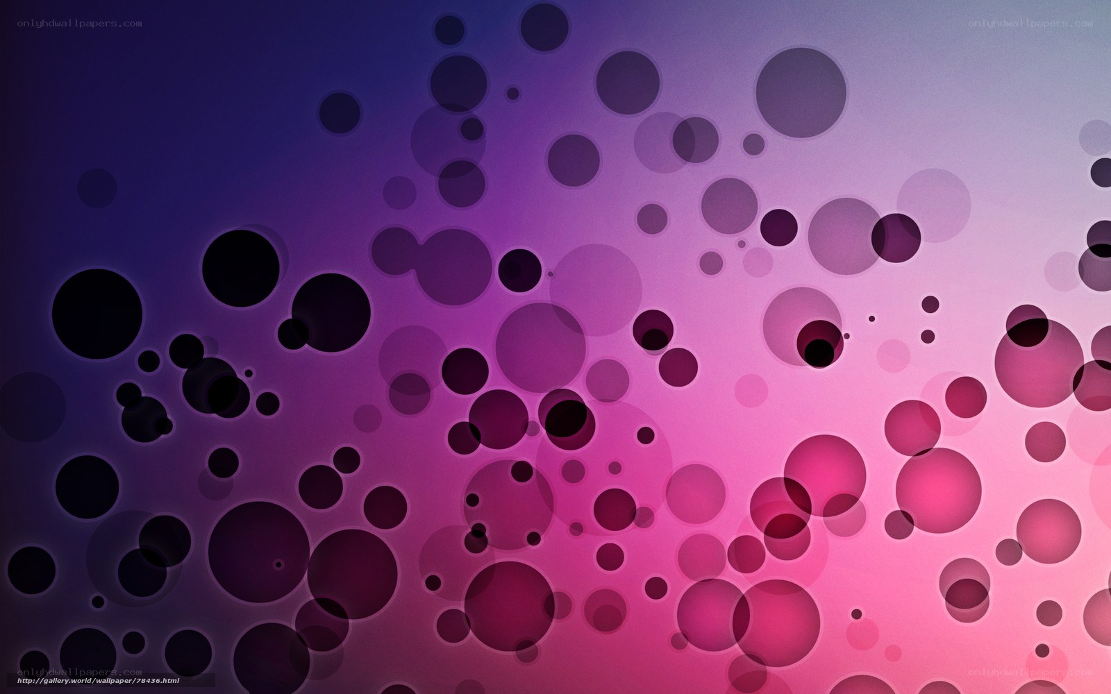 purple and pink circle pattern