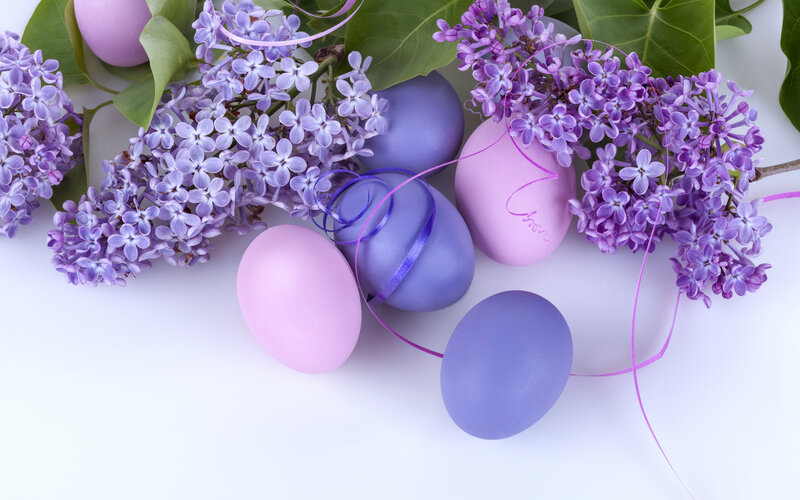 Purple and Pink Eggs