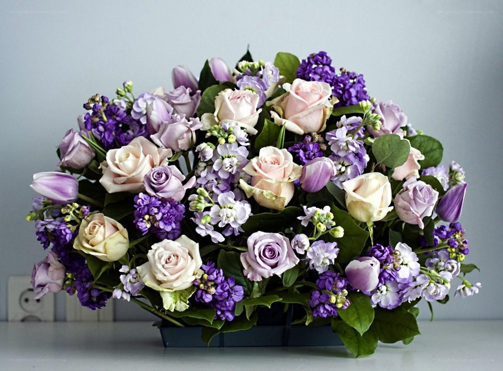 purple and pink flower arrangement