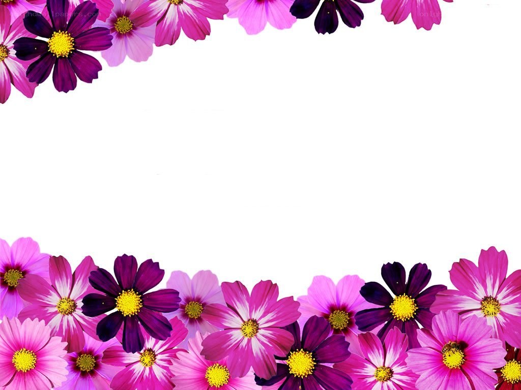 purple and pink flower border