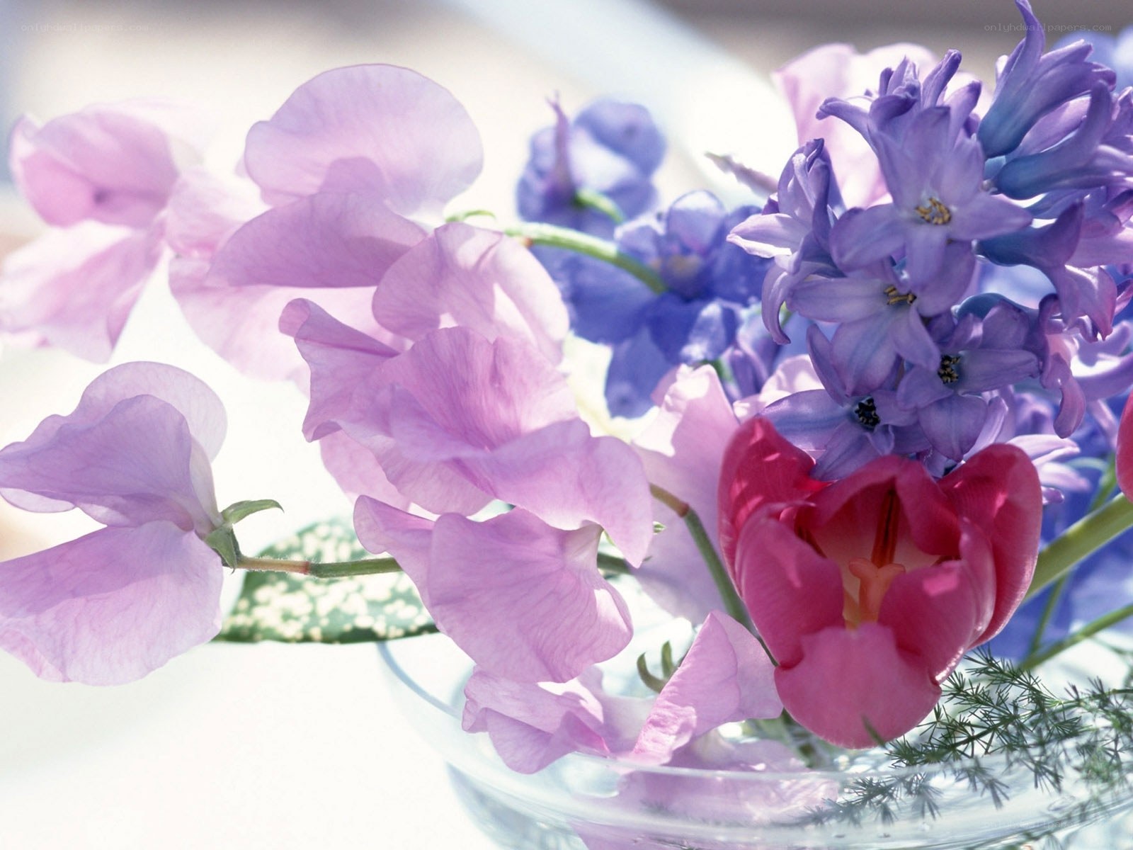 Purple and pink flower bouquet