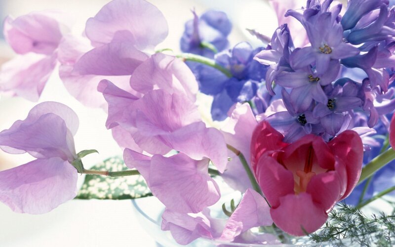 Purple and pink flower bouquet