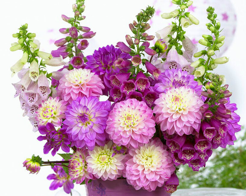 Purple and Pink Flower Bouquet — Calm, Spring