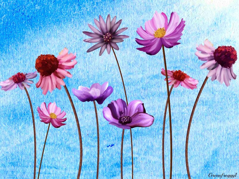 Purple and Pink Flowers — Blue