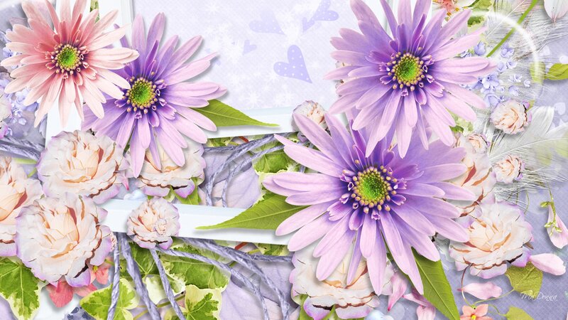 Purple and Pink Flowers — Calm, Digital Art