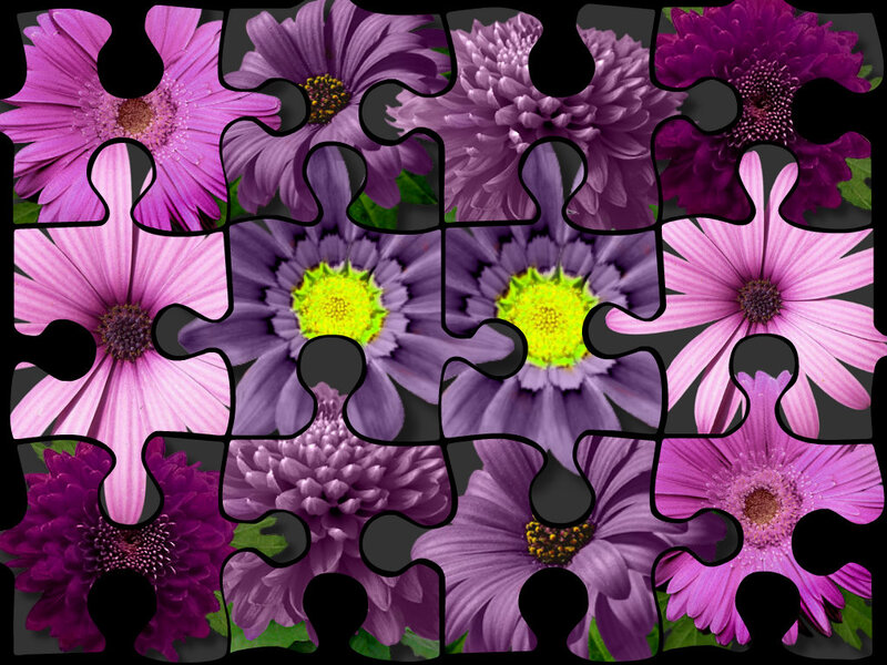 Purple and Pink Flowers — Calm, Photograph, Puzzle Pieces